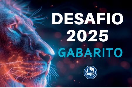 GABARITO - Desafio 2025